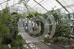 United States Botanic Garden