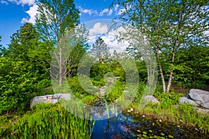 The United States Botanic Garden in Washington, DC