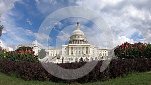 United States Capital Building, Congress Wide Angle with Foliage - Washington DC Wide Angle