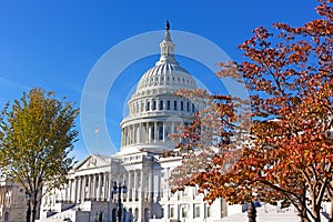 United States Capitol in autumn, Washington DC, USA.