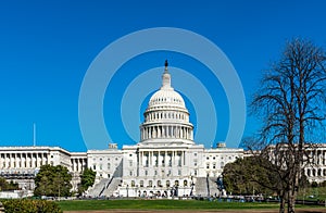 The United States Capitol Building