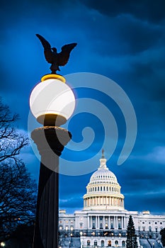 United States Capitol Building with street light with American eagle in the foreground