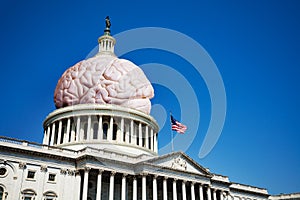 United States capitol is country brain concept