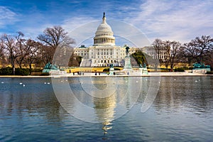 The United States Capitol and reflecting pool in Washington, DC.