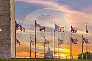 US flags around the Washington Monument with the Capitol in the Background