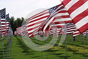 United States Flags for Fallen Heroes II