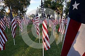 United States Flags. Memorial Day Holiday.