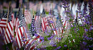 United States flags at the memorial remembrance ceremony day in Everett, Washington, United States