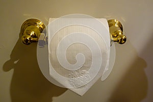 United States, Miami, Hotel Trump National Doral Golf Resort, Toilet paper with the coat of arms of Donald Trump