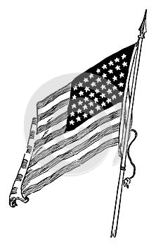 The United States National flag in 1912, vintage illustration