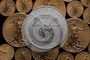 United States Silver Eagle Coin on bed of American Gold Eagles