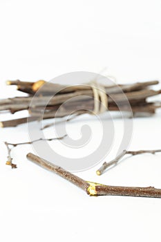 In unity is strength