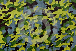 Universal camouflage pattern.