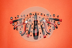 A universal set of screwdrivers with replaceable nozzles on a light red background.