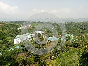 University amid forests