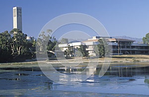 University CA at Santa Barbara