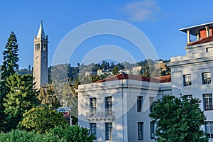 University of California Berkeley Sather Tower