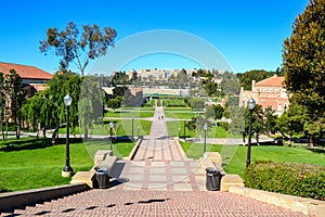 University of California Los Angeles UCLA Campus photo