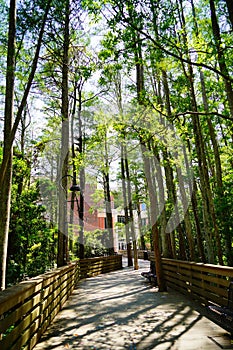 The University of Central Florida campus landscape