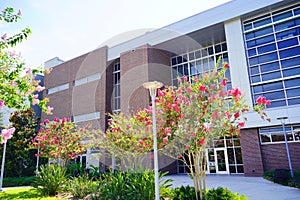 The University of Central Florida UCF flower