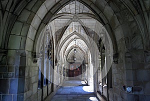 The University of Chicago