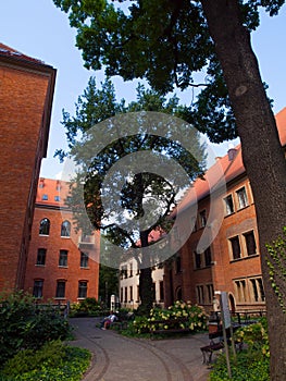 University garden in Krakow photo