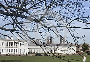 The university of Greenwich, sunny weather and branches.