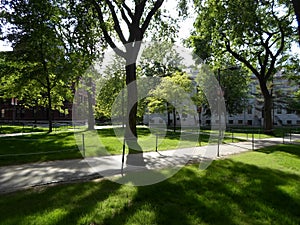 University Hall and Weld Hall, Harvard Yard, Harvard University, Cambridge, Massachusetts, USA