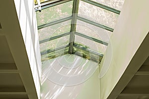 University library glass ceiling