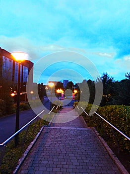 University of Limerick