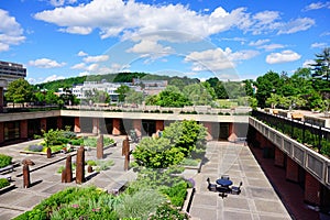 University of Massachusetts Amherst