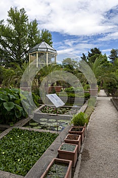 University of Padua Botanical Garden in Padua on a summer day