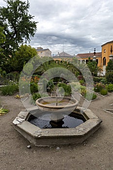 University of Padua Botanical Garden in Padua on a summer day