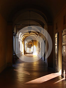 University of Pavia photo