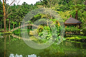 University Pond at nantou county in taiwan