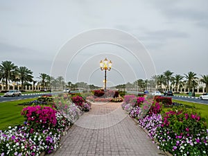 The university of Sharjah beautiful campus roads with flora decorations, UAE