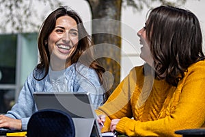 University students collaborating on project, sharing laughter and ideas outdoors