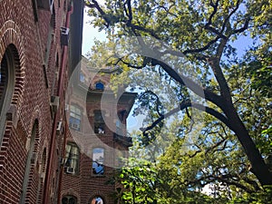 UNIVERSITY OF TAMPA, BACK OF PLANT HALL