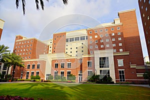 The University of Tampa campus building in winter