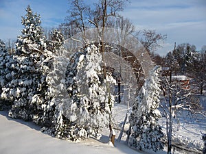 The University of Virginia winter snow landscape