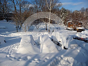 The University of Virginia winter snow landscape