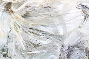 Unknown asbestos mineral
