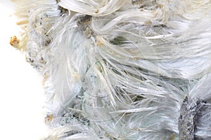 Unknown asbestos mineral