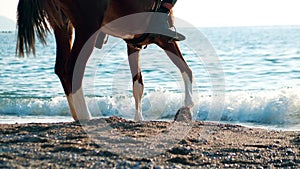 Unknown horseman on the seaside, close-up shot