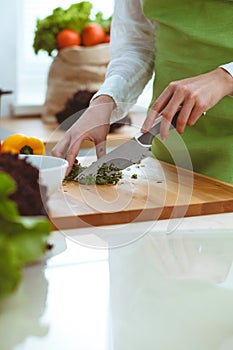 Unknown human hands cooking in kitchen. Woman is busy with vegetable salad. Healthy meal, and vegetarian food concept