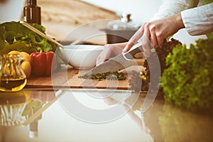 Unknown human hands cooking in kitchen. Woman is busy with vegetable salad. Healthy meal, and vegetarian food concept