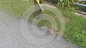 Unknown laborer brushing cutting grass by the roadside.