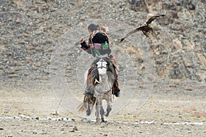 Unknown Mongolian Hunter So Called Berkutchi Astride On Horse And Flying Golden Eagle. Falconry In West Mongolia. Golden Eagle