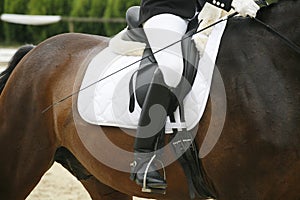 Unknown rider sitting on a dressage horse