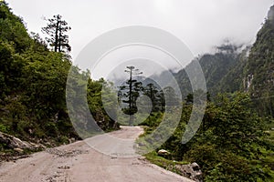 Unkown Road In North India